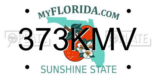 373KMV Florida License Plate