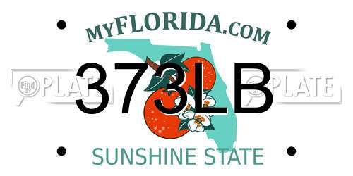 373LB Florida License Plate
