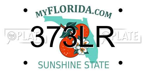 373LR Florida License Plate