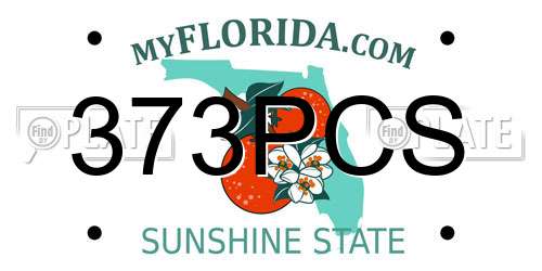373PCS Florida License Plate