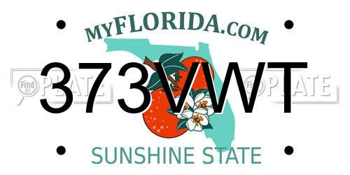 373VWT Florida License Plate