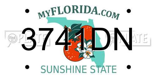 3741DN Florida License Plate