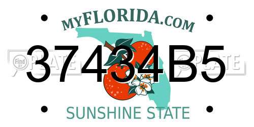 37434B5 Florida License Plate