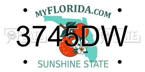 3745DW Florida License Plate