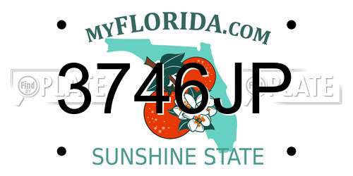 3746JP Florida License Plate