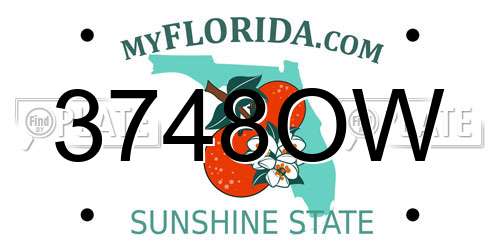3748OW Florida License Plate