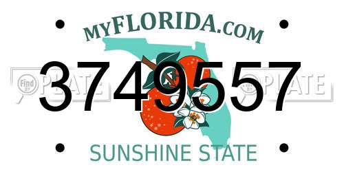 3749557 Florida License Plate
