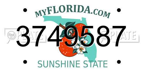 3749587 Florida License Plate
