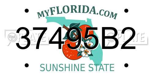 37495B2 Florida License Plate