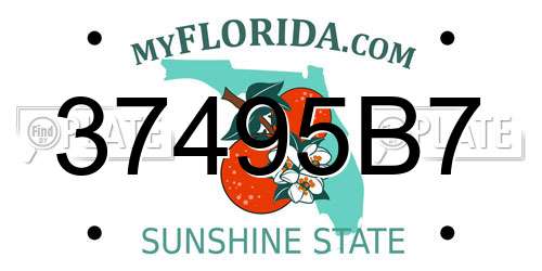 37495B7 Florida License Plate