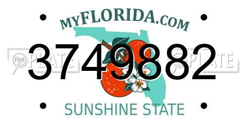 3749882 Florida License Plate