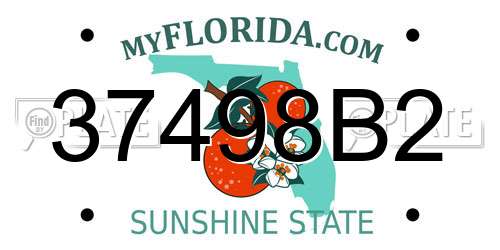 37498B2 Florida License Plate