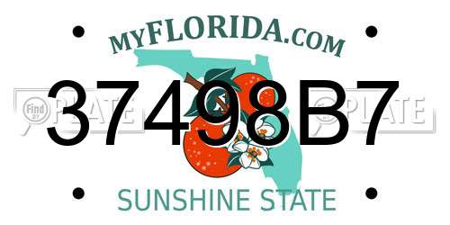 37498B7 Florida License Plate