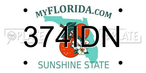374IDN Florida License Plate