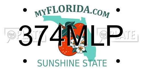 374MLP Florida License Plate