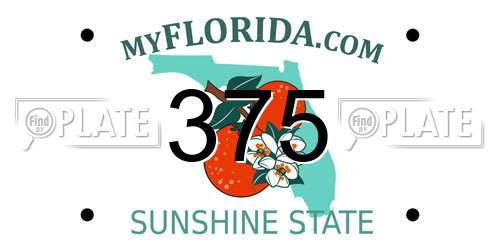 375 Florida License Plate