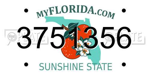 3751356 Florida License Plate