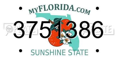 3751386 Florida License Plate
