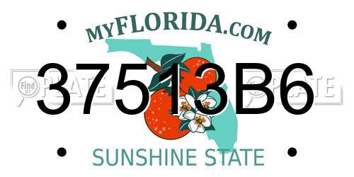 37513B6 Florida License Plate