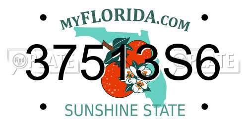37513S6 Florida License Plate