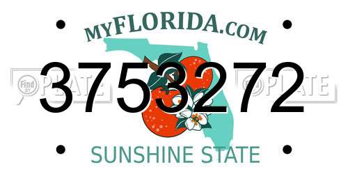 3753272 Florida License Plate
