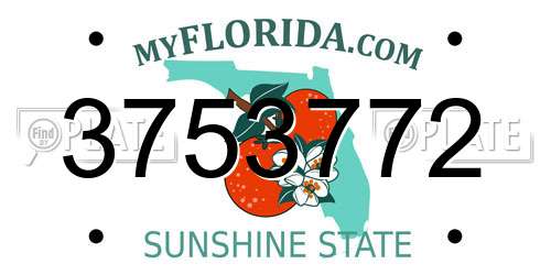 3753772 Florida License Plate