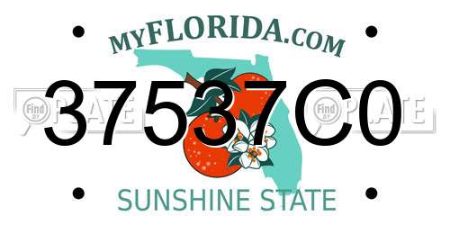 37537C0 Florida License Plate