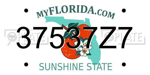 37537Z7 Florida License Plate