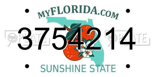 3754214 Florida License Plate