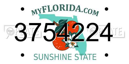 3754224 Florida License Plate