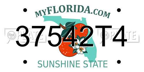 37542T4 Florida License Plate