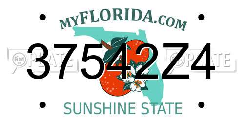 37542Z4 Florida License Plate