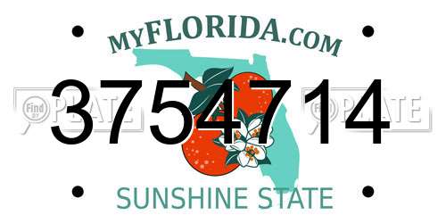 3754714 Florida License Plate
