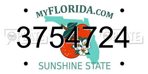 3754724 Florida License Plate