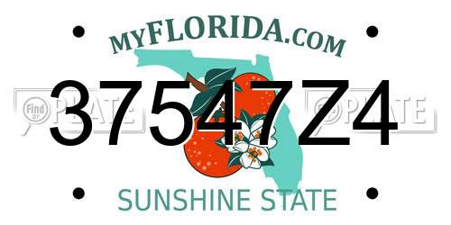 37547Z4 Florida License Plate