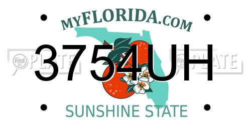 3754UH Florida License Plate