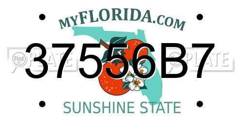 37556B7 Florida License Plate