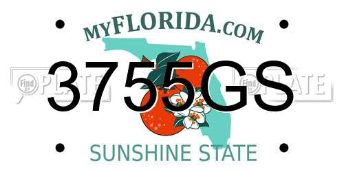 3755GS Florida License Plate