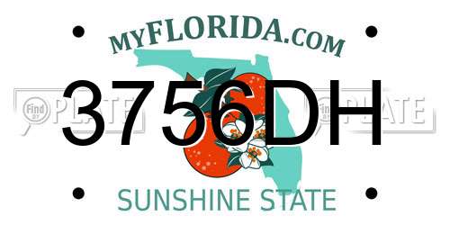 3756DH Florida License Plate