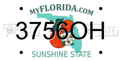 3756OH Florida License Plate