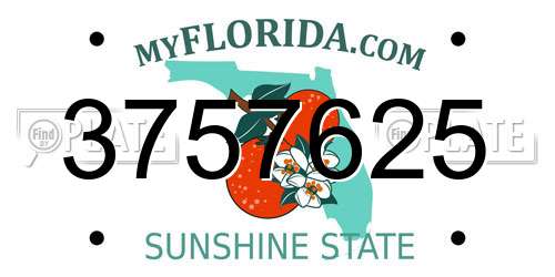 3757625 Florida License Plate