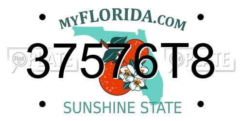 37576T8 Florida License Plate