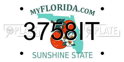 3758IT Florida License Plate