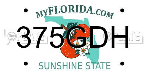 375GDH Florida License Plate
