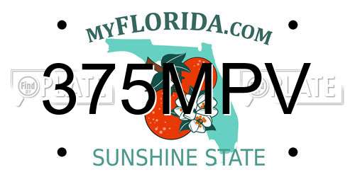 375MPV Florida License Plate