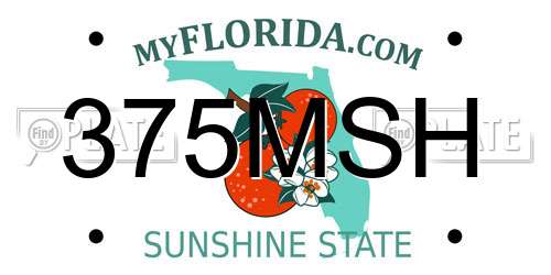 375MSH Florida License Plate