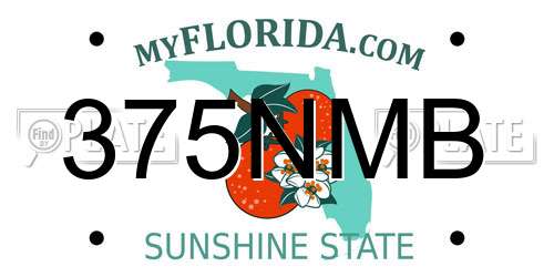 375NMB Florida License Plate