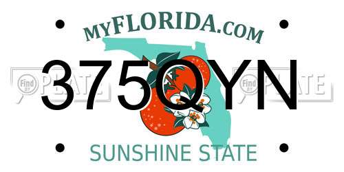 375QYN Florida License Plate