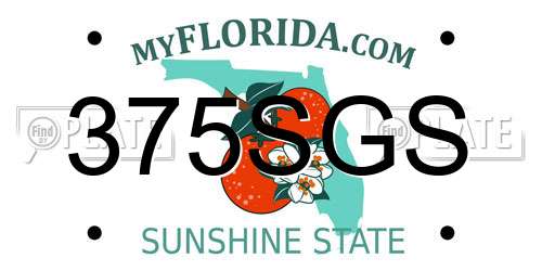 375SGS Florida License Plate