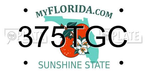 375TGC Florida License Plate